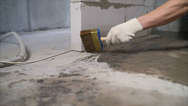 SJ Waterproofing Pros Waterproofing coverage map for South Haven, MI and surrounding area